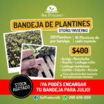 Bandeja-Plantines-JULIO-2-630×630
