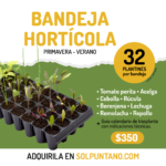 Bandeja-Horticola