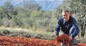 Distinguen a un reconocido proveedor de aromáticas al sector alimenticio y perfumero