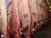 Informe especial del IPCVA: qué compran los países que importan carne argentina