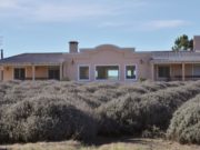 Estancia Grande: taller sobre aplicación y propiedades de las plantas aromáticas