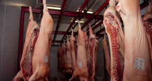 AFIP creó un nuevo sistema para formalizar el mercado de carne porcina
