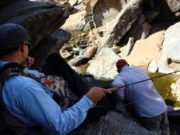 Suman 12 lugares donde obtener el permiso anual de pesca para ríos y diques de San Luis