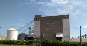 Aplican suspensiones y clausuras a molinos harineros y cerealeras de Córdoba