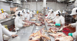 Desde marzo será obligatorio el Controlador Electrónico de Faena para establecimientos bovinos