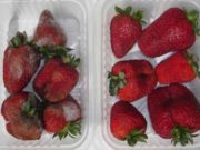 La higiene y sanidad en los alimentos irradiados, mitos y verdades