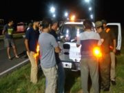 San Luis: decomisan 72 bovinos transportados en dos camiones sin documentación