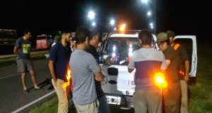 San Luis: decomisan 72 bovinos transportados en dos camiones sin documentación