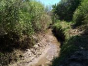 San Luis: amplían el caudal de agua para riego en seis parajes del noreste provincial