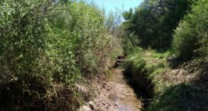San Luis: amplían el caudal de agua para riego en seis parajes del noreste provincial