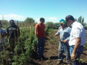 San Luis: convocan a nuevos promotores de Prohuerta en localidades de los Comechingones