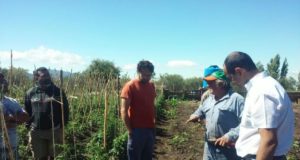 San Luis: convocan a nuevos promotores de Prohuerta en localidades de los Comechingones