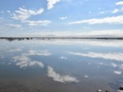 Lagunas de Guanacache, Desaguadero y del Bebedero, Sitio Internacional RAMSAR en San Luis