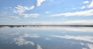 Lagunas de Guanacache, Desaguadero y del Bebedero, Sitio Internacional RAMSAR en San Luis
