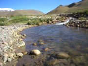 Detectan toxicidad en aguas de ríos de Buenos Aires y Mendoza