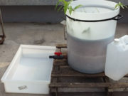 Humedales vegetados: crean un método doméstico para reutilizar el agua