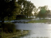 Declararon la emergencia agropecuaria nacional para Mendoza, La Pampa y Chaco