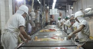 Agroindustria completó la digitalización de los trámites del RUCA