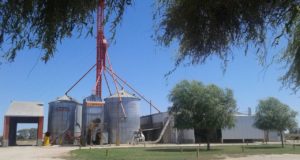 Operativos oficiales contra la evasión en el sector aceitero