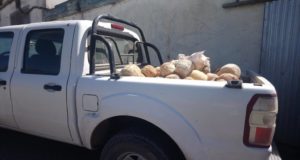Prohíben la venta de productos lácteos en establecimientos de la región pampeana