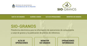 Modificaciones en la carga de datos para el SIO GRANOS
