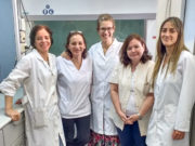 Molle de beber: planta autóctona serviría para tratar inflamaciones crónica del intestino