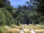 Traslasierra: Córdoba estrena su segundo Parque Nacional
