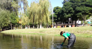Por una advertencia municipal, el gobierno evalúa la calidad de agua del río El Volcán