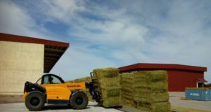 San Luis reparó las vías y reactivó el tren de cargas con un envío de alfalfa que se exportará