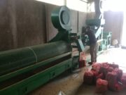 San Luis: el predio del gobierno procesará más de 1.500 kilos de almendras propias
