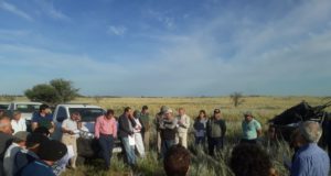 Jornada en Navia: pasturas, manejo de recrías de un año y las que entraron en servicio