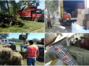 San Luis: múltiples decomisos de leña, verduras, fardos y pastas transportados sin papeles