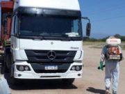 Medidas preventivas del Senasa para mantener a San Luis libre del picudo el algodonero