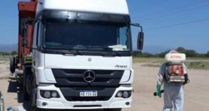 Medidas preventivas del Senasa para mantener a San Luis libre del picudo el algodonero