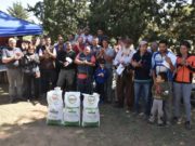 San Luis: inician un proyecto oficial para sembrar 20 mil hectáreas de alfalfa en la Cuenca del Morro