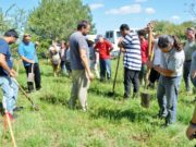 Ciclo de capacitación sobre armado y mantenimiento de huertas orgánicas en Villa de Merlo