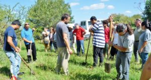 Ciclo de capacitación sobre armado y mantenimiento de huertas orgánicas en Villa de Merlo