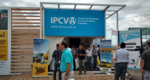 Auditorio ganadero: el IPCVA estará en Expoagro 2018 con charlas técnicas y de mercado