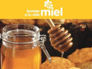 Se renueva la campaña federal para promover la apicultura y el consumo de miel