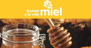 Se renueva la campaña federal para promover la apicultura y el consumo de miel