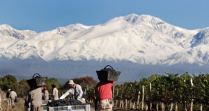 Este lunes comienza la Semana del Malbec