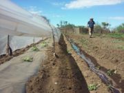 Agricultura familiar: trabajo en territorio con productores de San Miguel, Martín de Loyola y El Suyuque