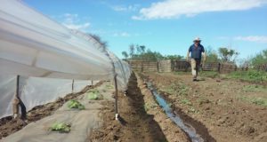 Agricultura familiar: trabajo en territorio con productores de San Miguel, Martín de Loyola y El Suyuque
