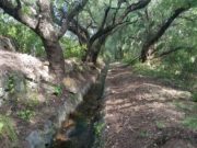 Tareas de mantenimiento en canales de riego de Lafinur, San Francisco, Luján y San Luis