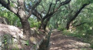 Tareas de mantenimiento en canales de riego de Lafinur, San Francisco, Luján y San Luis