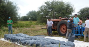 San Luis: experiencia con microsilos para alimentar cabras en el Conlara