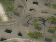 Nuevas semillas de soja y trigo con una tecnología contra la sequía que trasciende fronteras