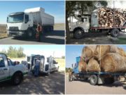 San Luis: decomisaron pescado, fardos y leña en las rutas durante el fin de semana largo