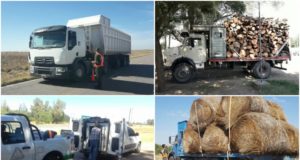 San Luis: decomisaron pescado, fardos y leña en las rutas durante el fin de semana largo