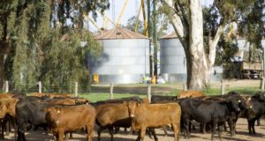 Comenzó la previa con las provincias para el próximo Censo Agropecuario Nacional